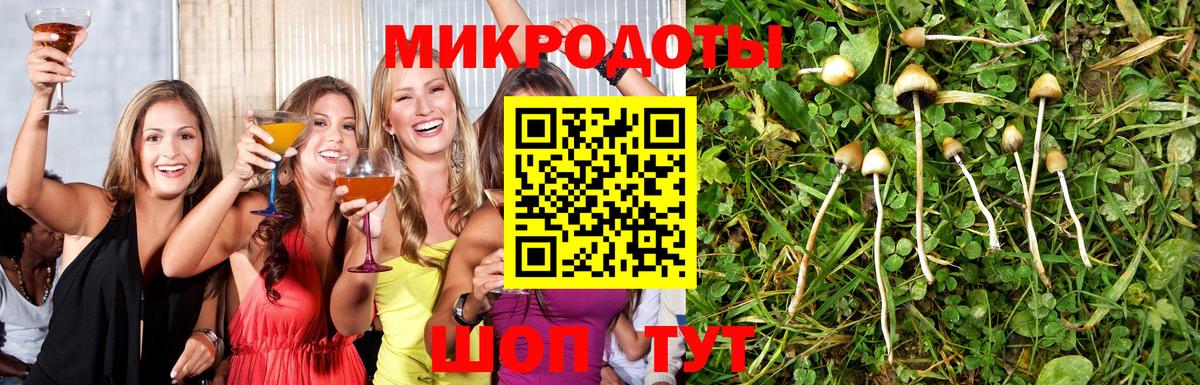 Галлюциногенные грибы Magic Shrooms Рыбинск